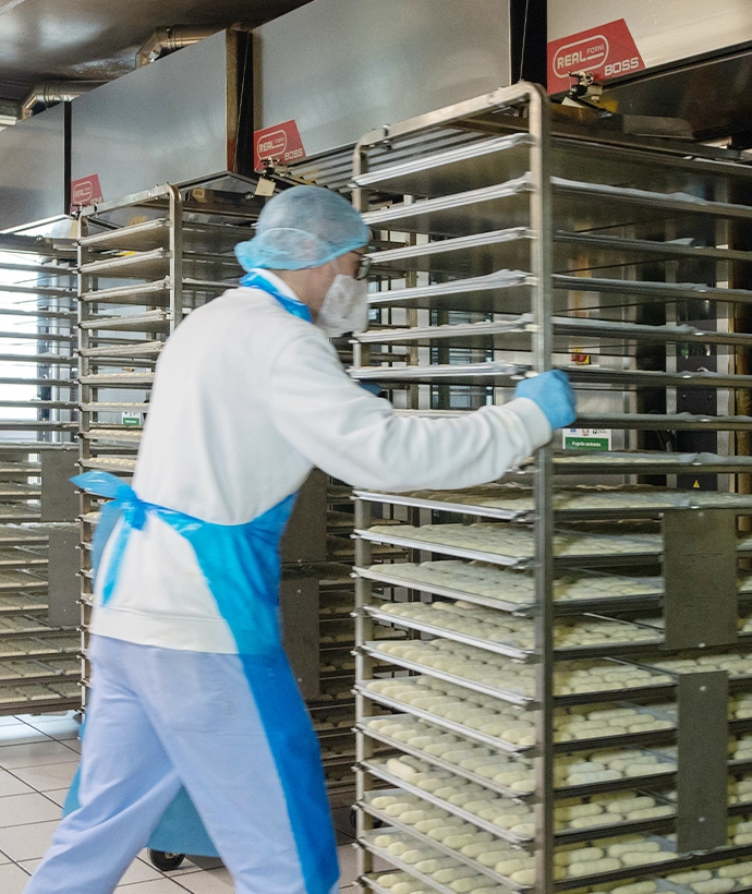 Quando il passato si fa futuro foto1